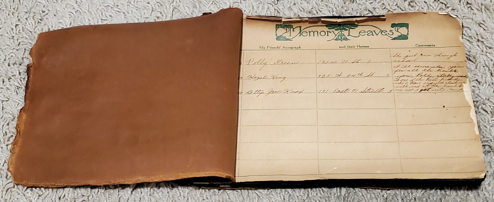 Vintage 1900’s Leather Photo Album B/W Photos Sequoia Nat’l. Park Gen. Sherman