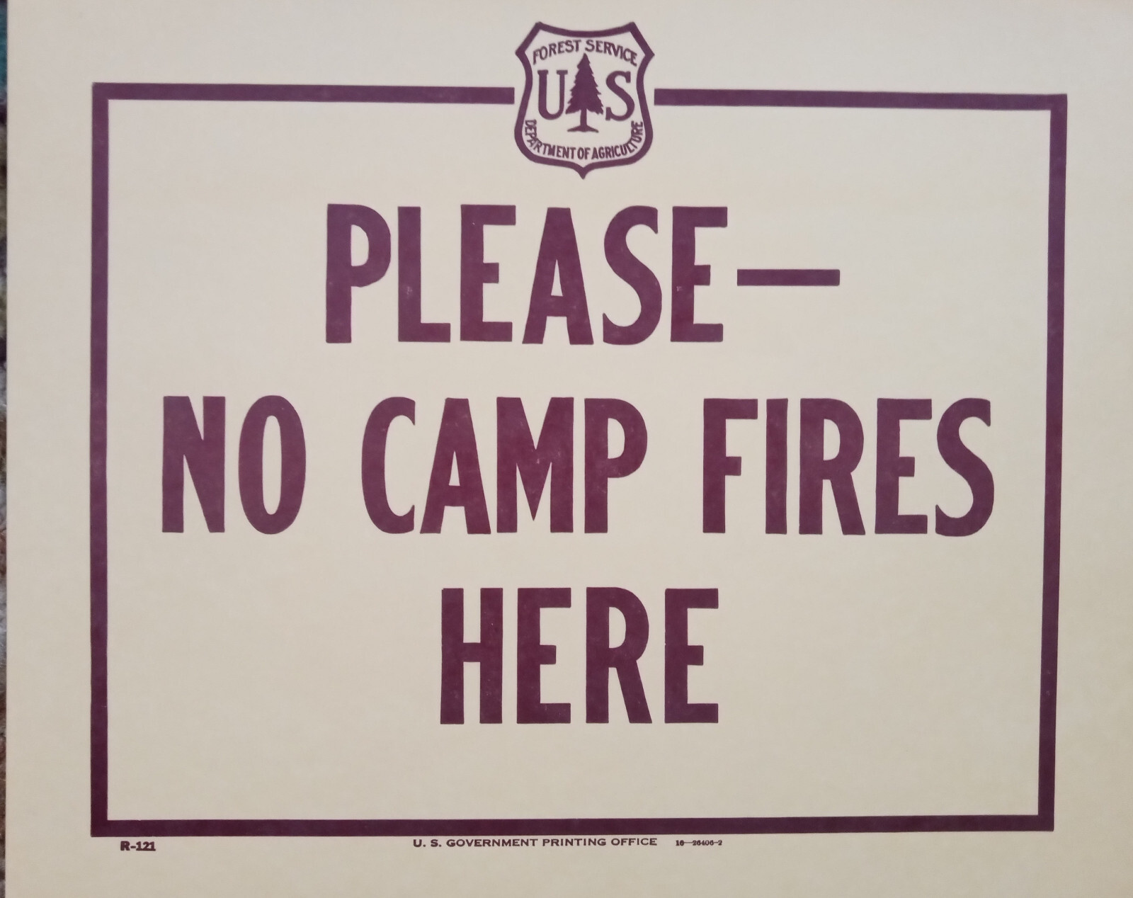 Vintage National Forest Service Paper Sign. “Please- No Camp Fires Here” USFS