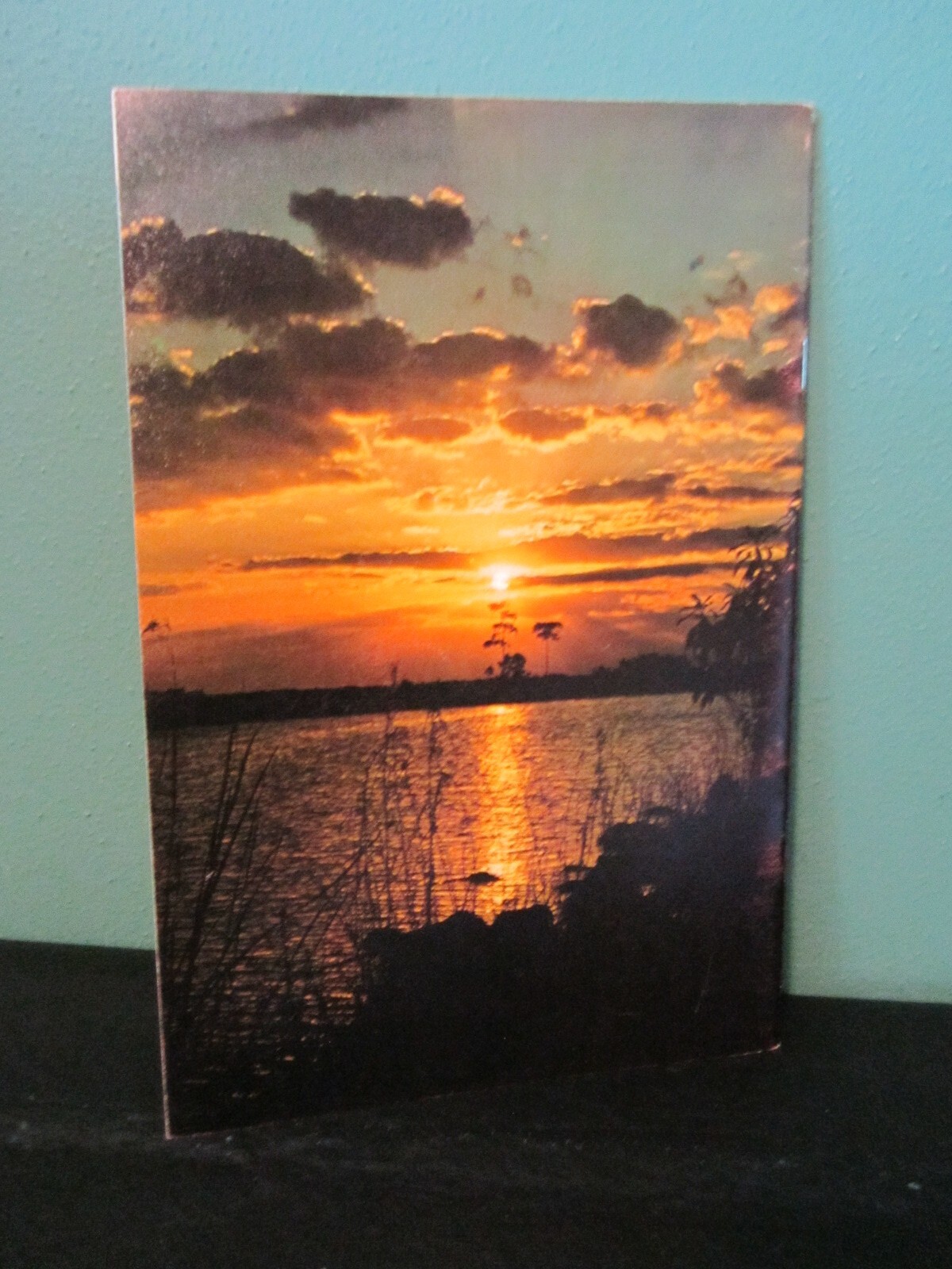 Motorist’s Guide Everglades National Park Dry Tortugas 24 Pg Color Photos ©1974