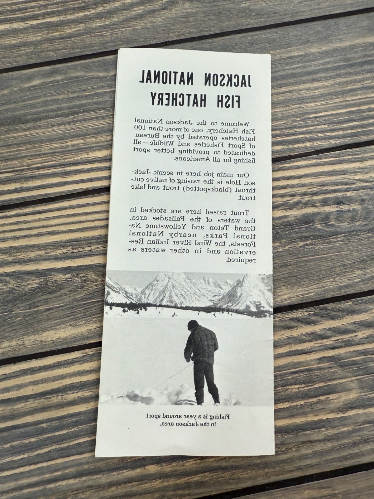 U.S. Department Of The Interior Jackson National Fish Hatchery Brochure 1960s Vi