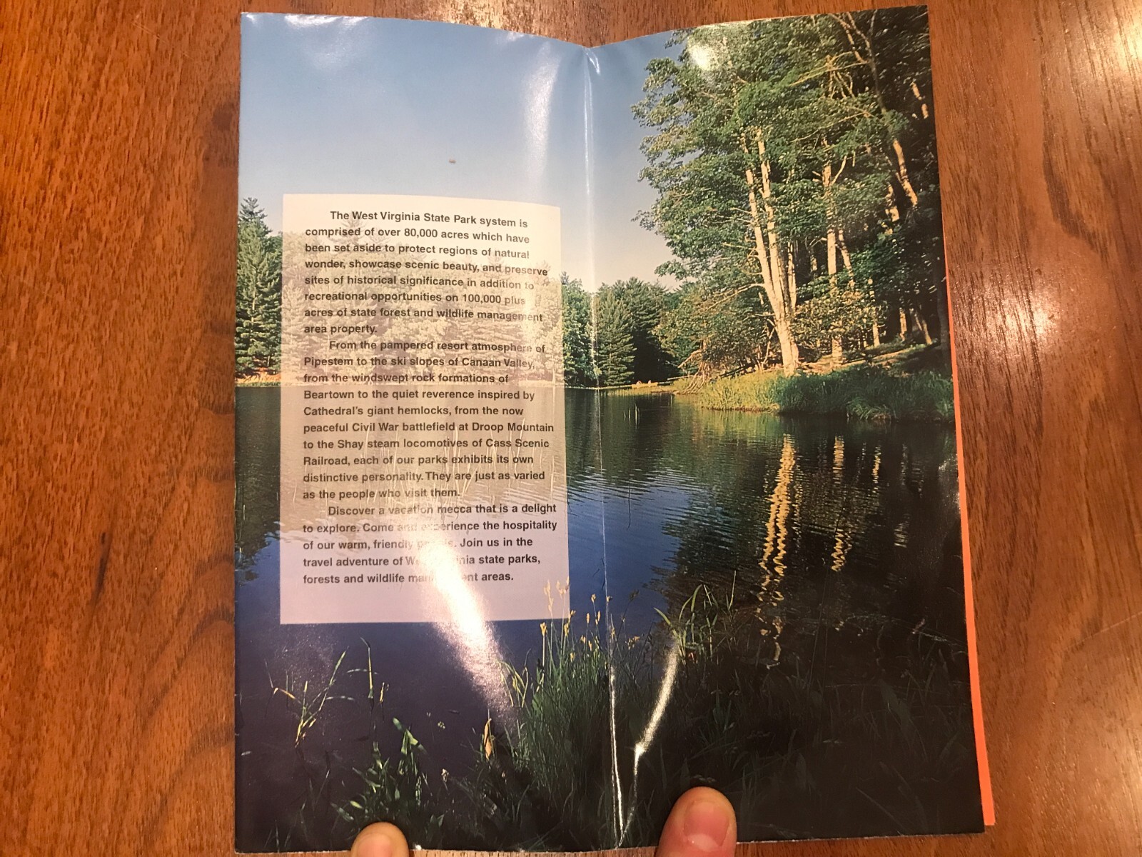 1996 West Virginia State Parks Forests & Wildlife Management Recreation brochure
