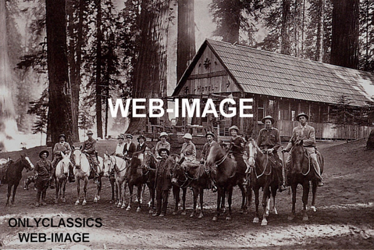 1915 BIG SEQUOIA NATIONAL PARK OLD HOTEL WILDERNESS DINING HORSE PHOTO AMERICANA