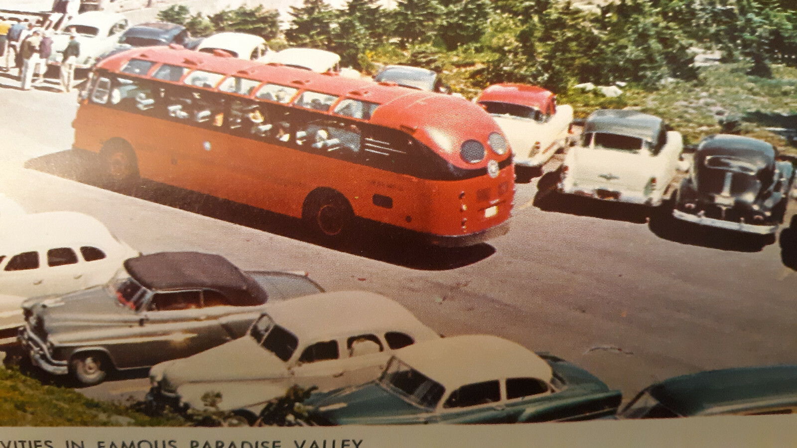 Paradise Inn Washington Large Postcard WA 6″ x 9″ Old cars & bus 1950s