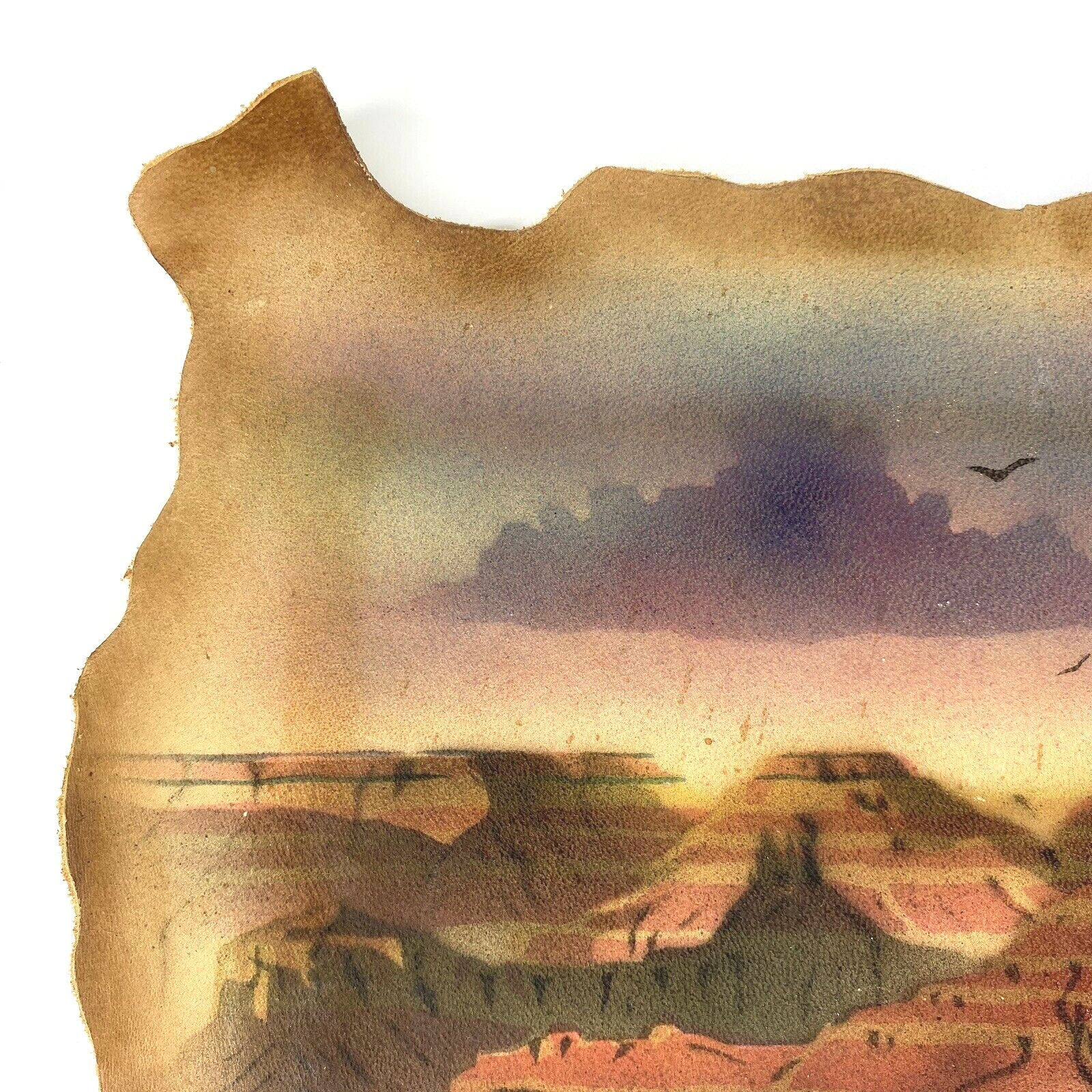 Vintage Grand Canyon Afternoon Southwestern Airbrushed 1990 Sheepskin Wall Decor