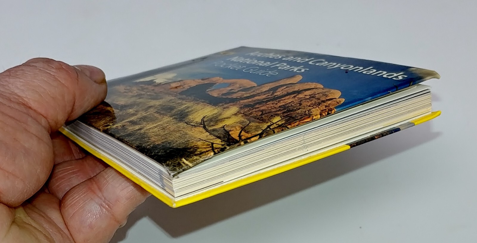 Arches and Canyonlands National Parks Pocket Guide (Falcon Pocket Guides)