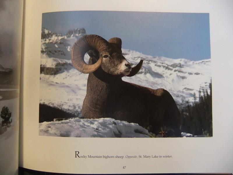 The Story of The Highway Across Glacier National Park Going-To-The Sun 1984 Book