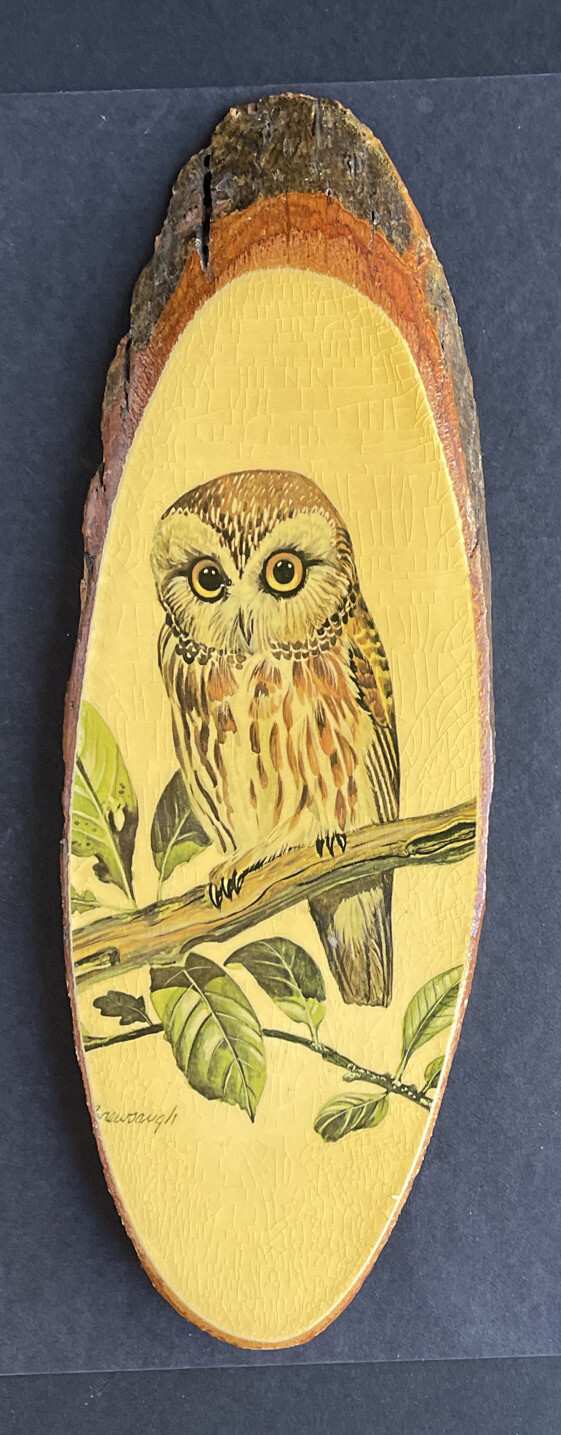 Wall Plaque Wood Slab “Owl” Souvenir Natural Wild Life “Missouri” Home Decor