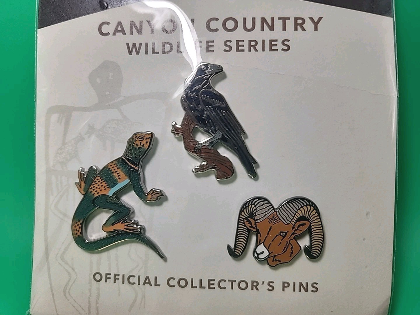 Canyonlands National Park Utah Canyon Country Desert Wildlife Pin Raven Lizard