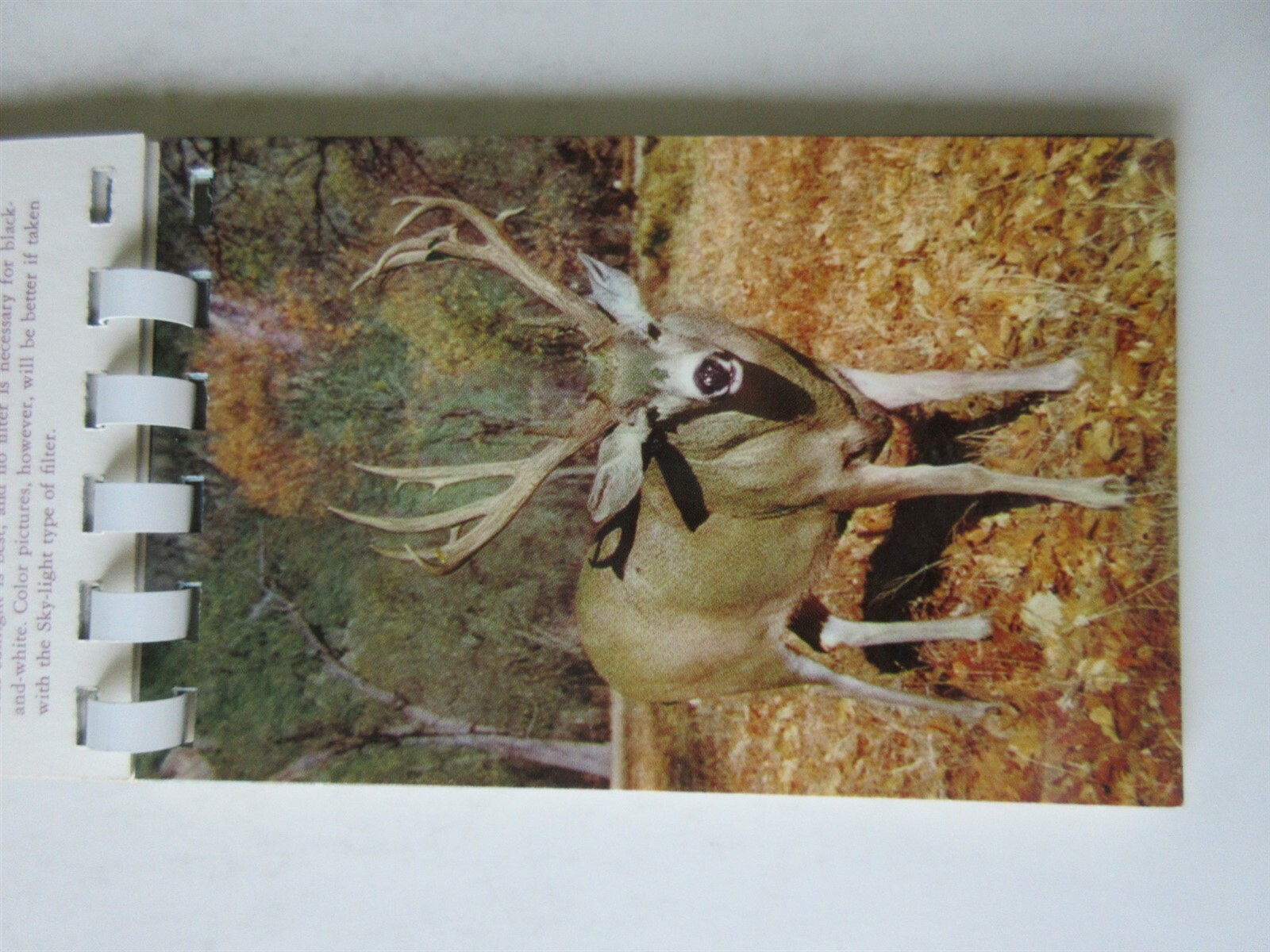 1955 Yosemite Picture And Photo Guide Spiral Bound 6″ x 3.5″ Souvenir Book