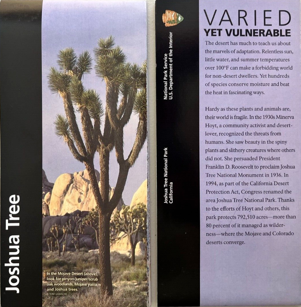 New JOSHUA TREE NP – CA NATIONAL PARK SERVICE UNIGRID BROCHURE/MAP GPO 2024