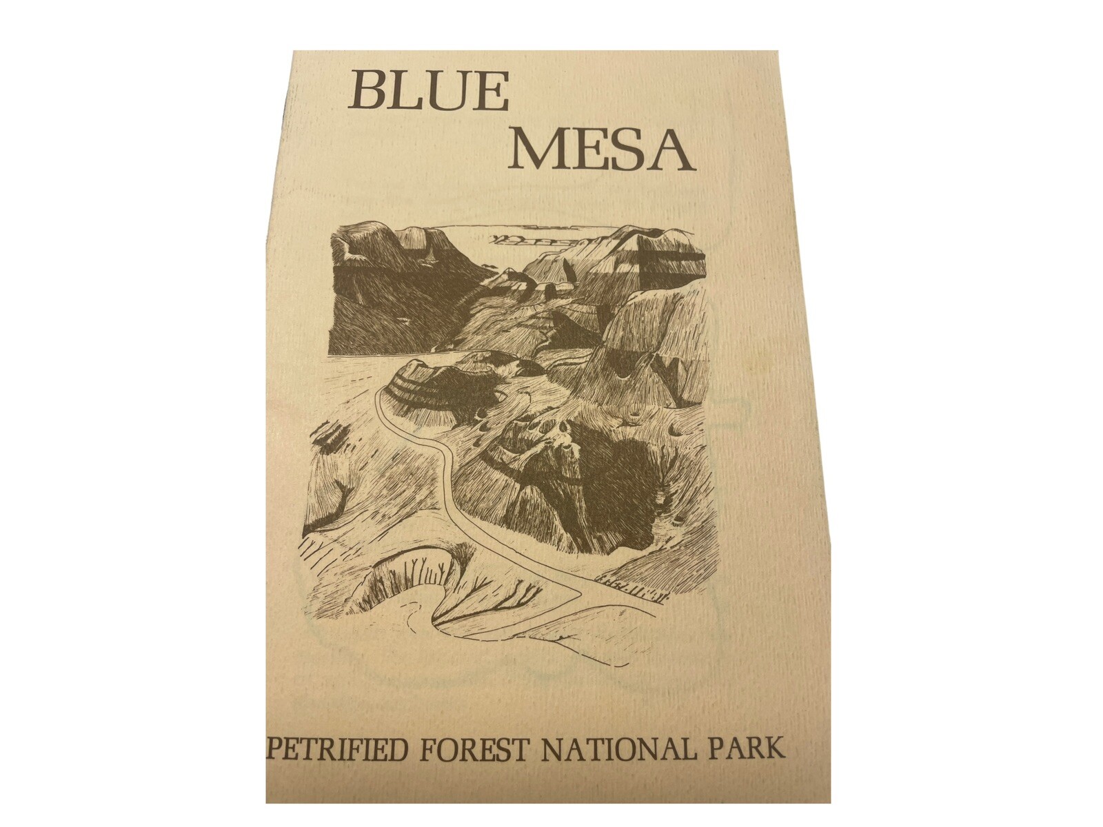 Vintage Arizona Blue Mesa Petrified Forest National Monument Booklet Brochure