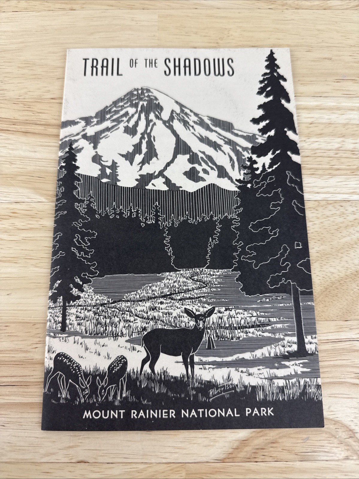 Vintage Mount Rainier National Park Trail of the Shadows Forest Washington Guide