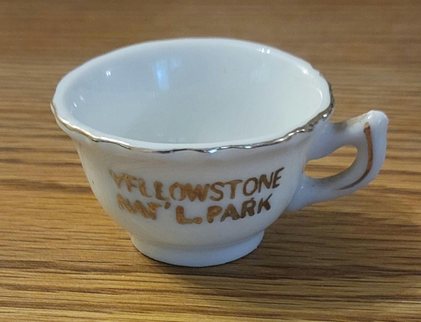 Vintage Painted Yellowstone Park Souvenir Collectors Miniature Plate & Mug Japan