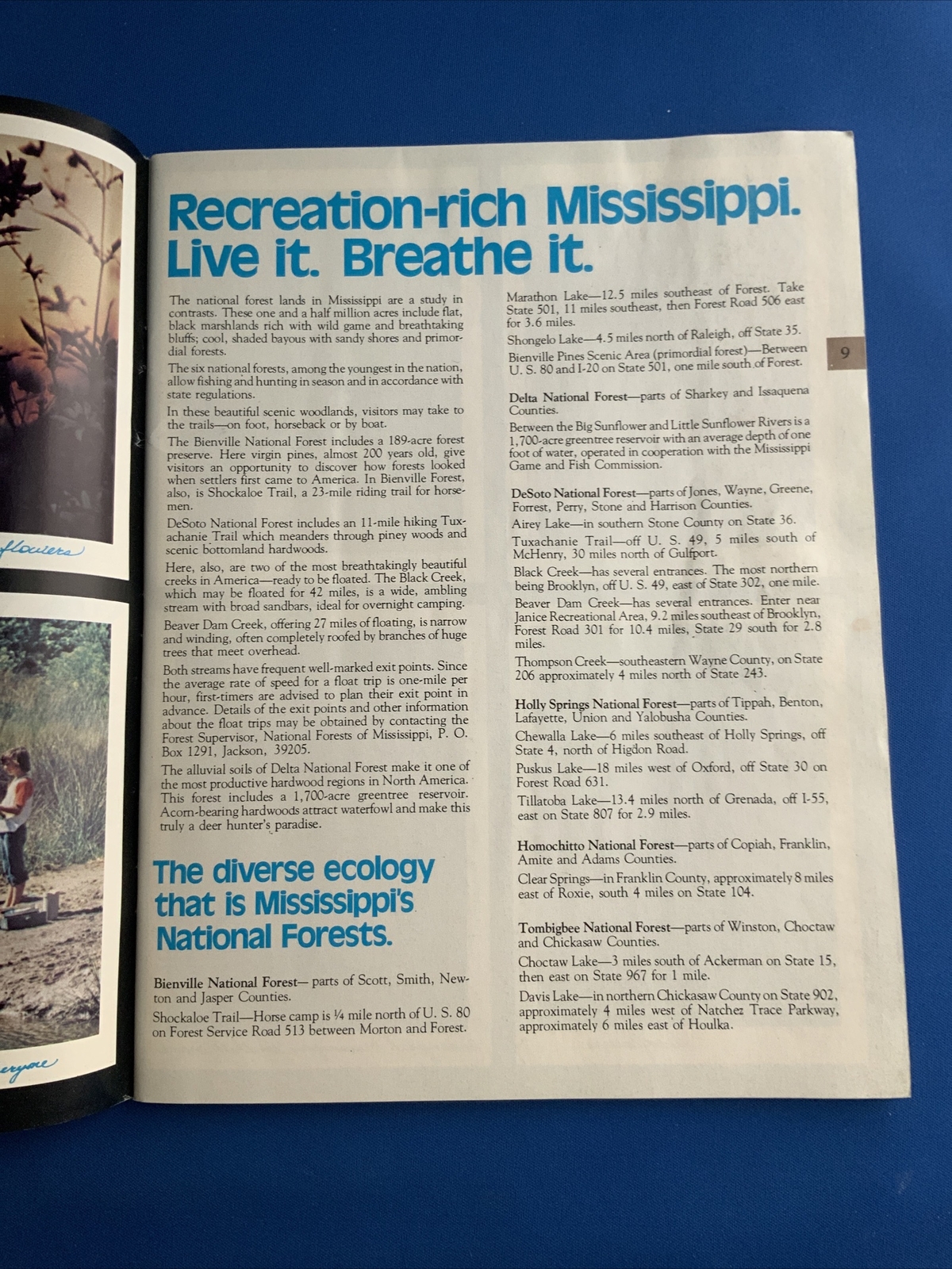 Mississippi Your Guide To Travel … Vintage