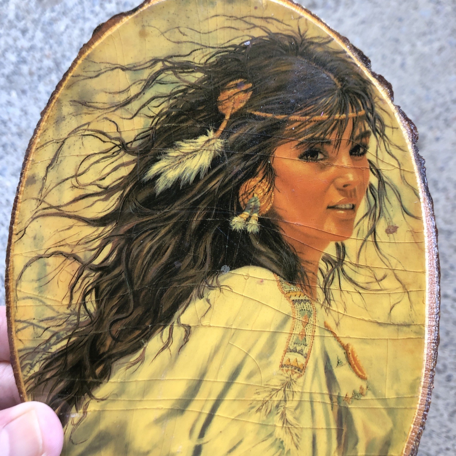 Indian Woman Yellowstone National Park USA Crackled Shellac Wall Hanging Wood