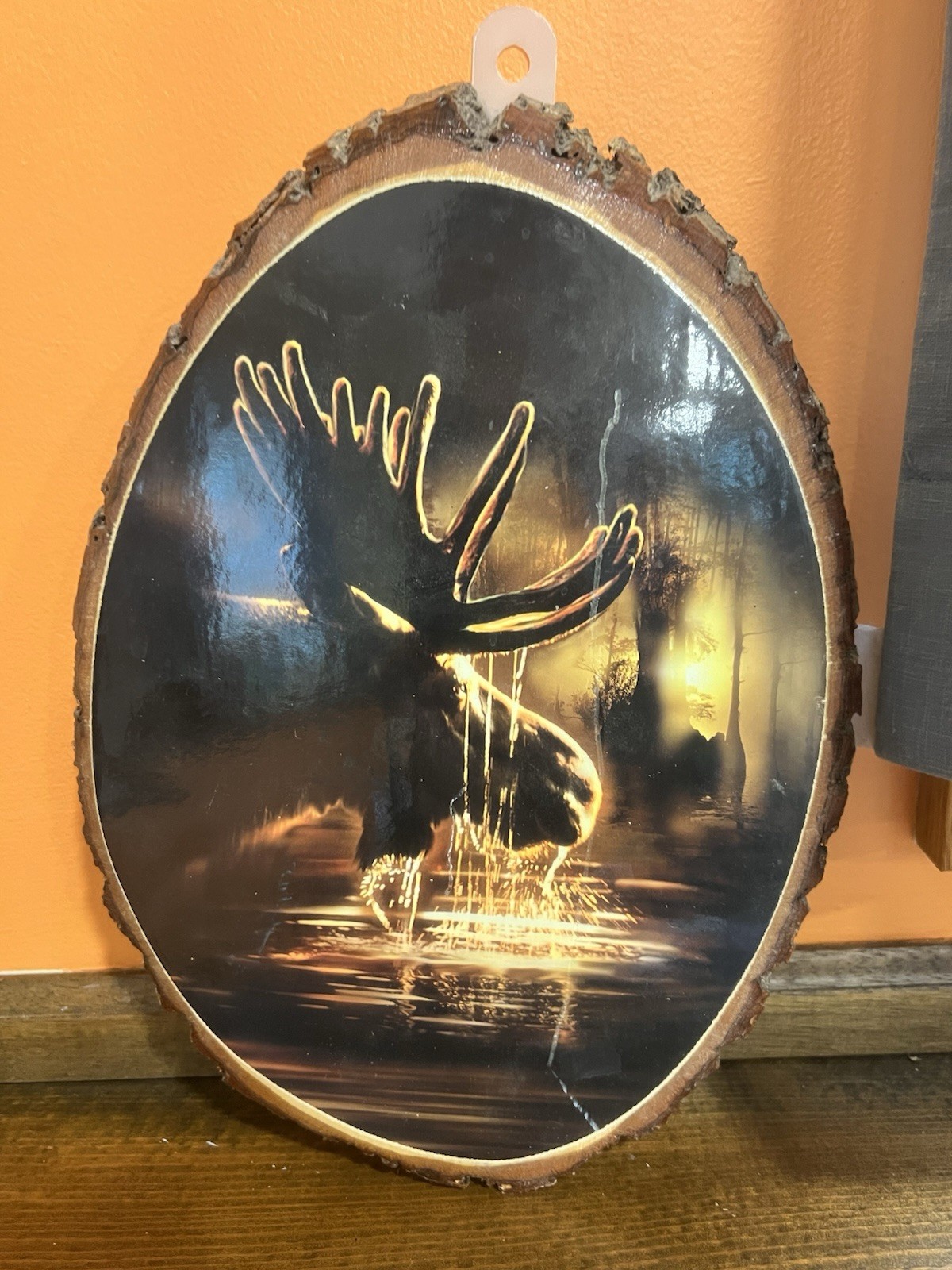 Northwoods Wisconsin Wall Plaque On Tree Wood Slab “Moose” Souvenir