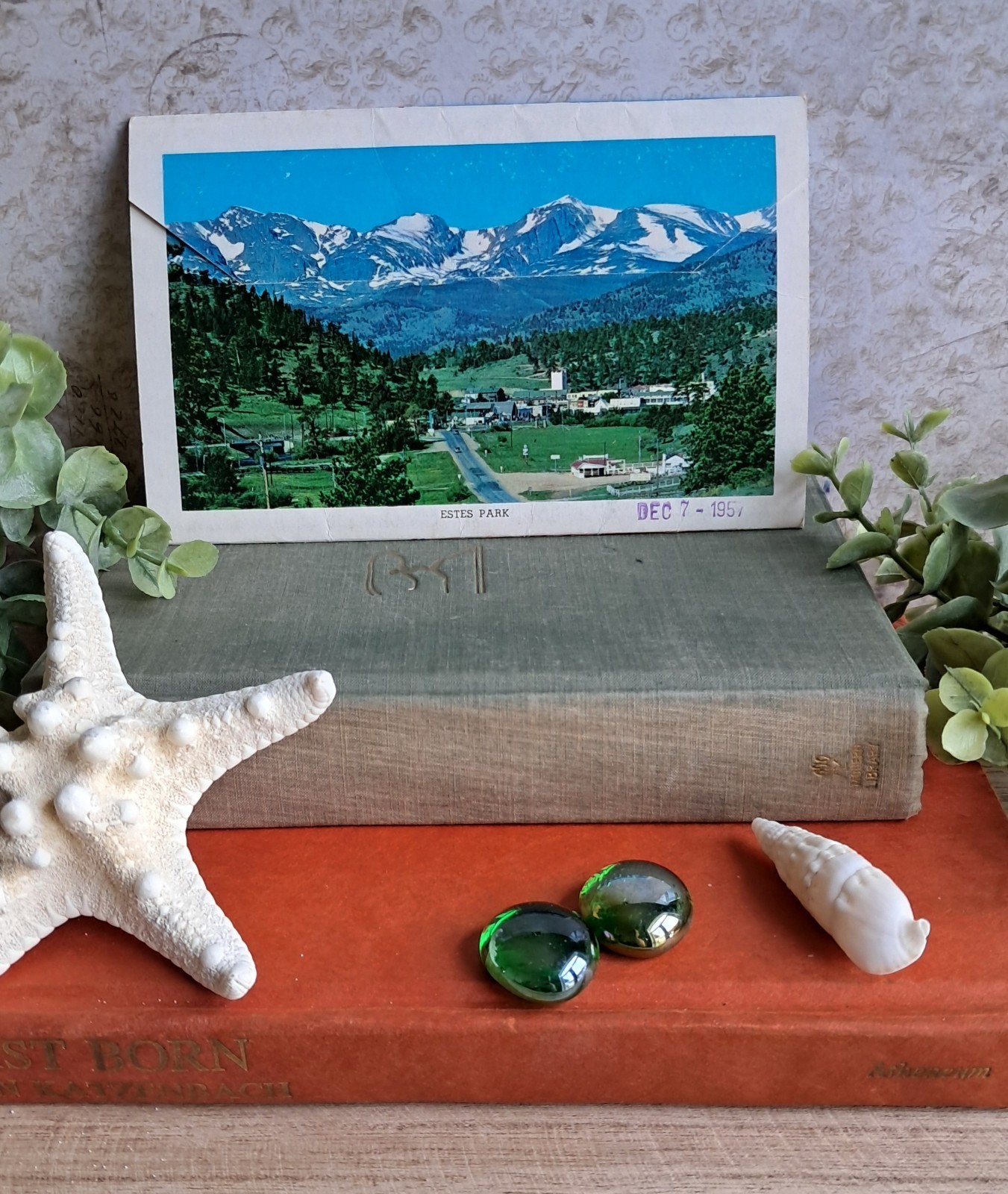 Rocky Mountain National Park 14-View Fold-Out Postcard Folder, 1957
