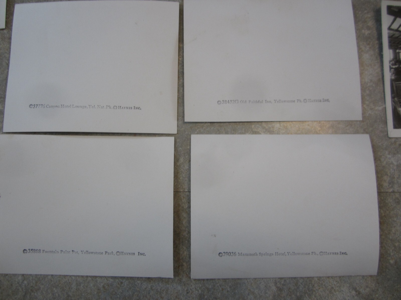 Lot of 19 Old Vintage 1940’s – YELLOWSTONE National PARK – HAYNES PHOTOS