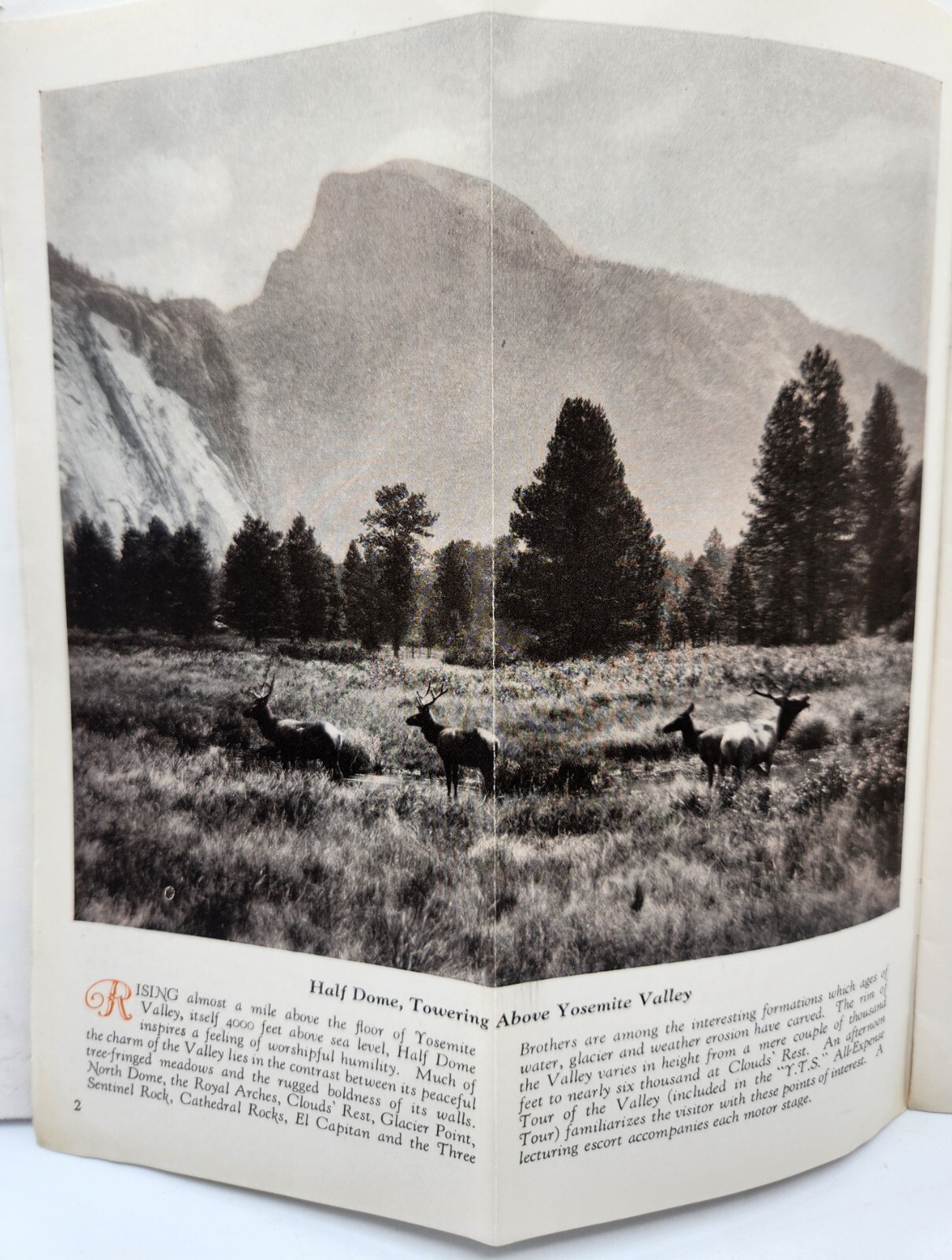 Yosemite and the Mariposa Big Trees Travel Brochure Transportion c.1920s