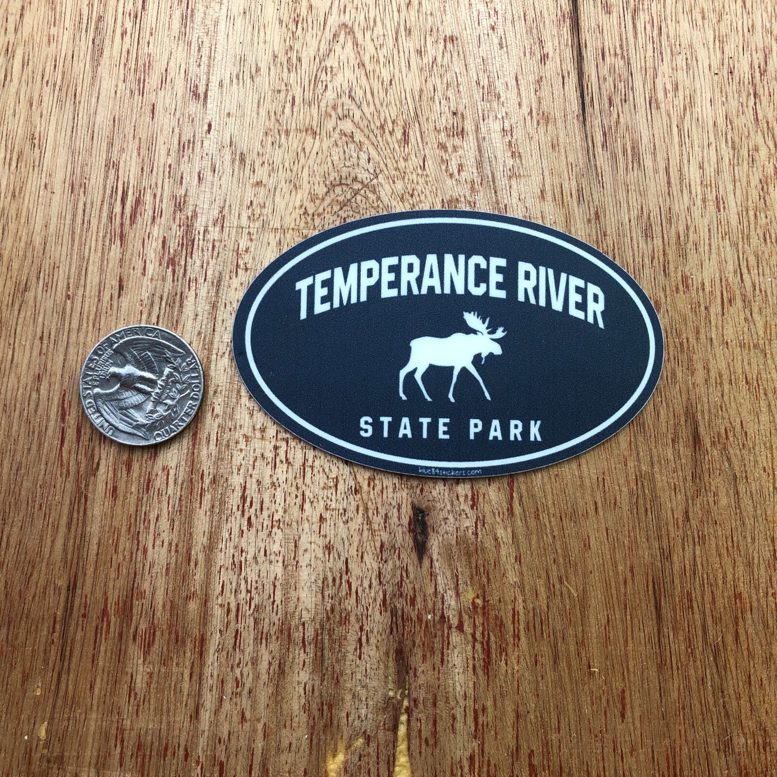 Temperance River State Park Sticker Decal Silver Bay MN Moose Unused 2.25″x3.5″