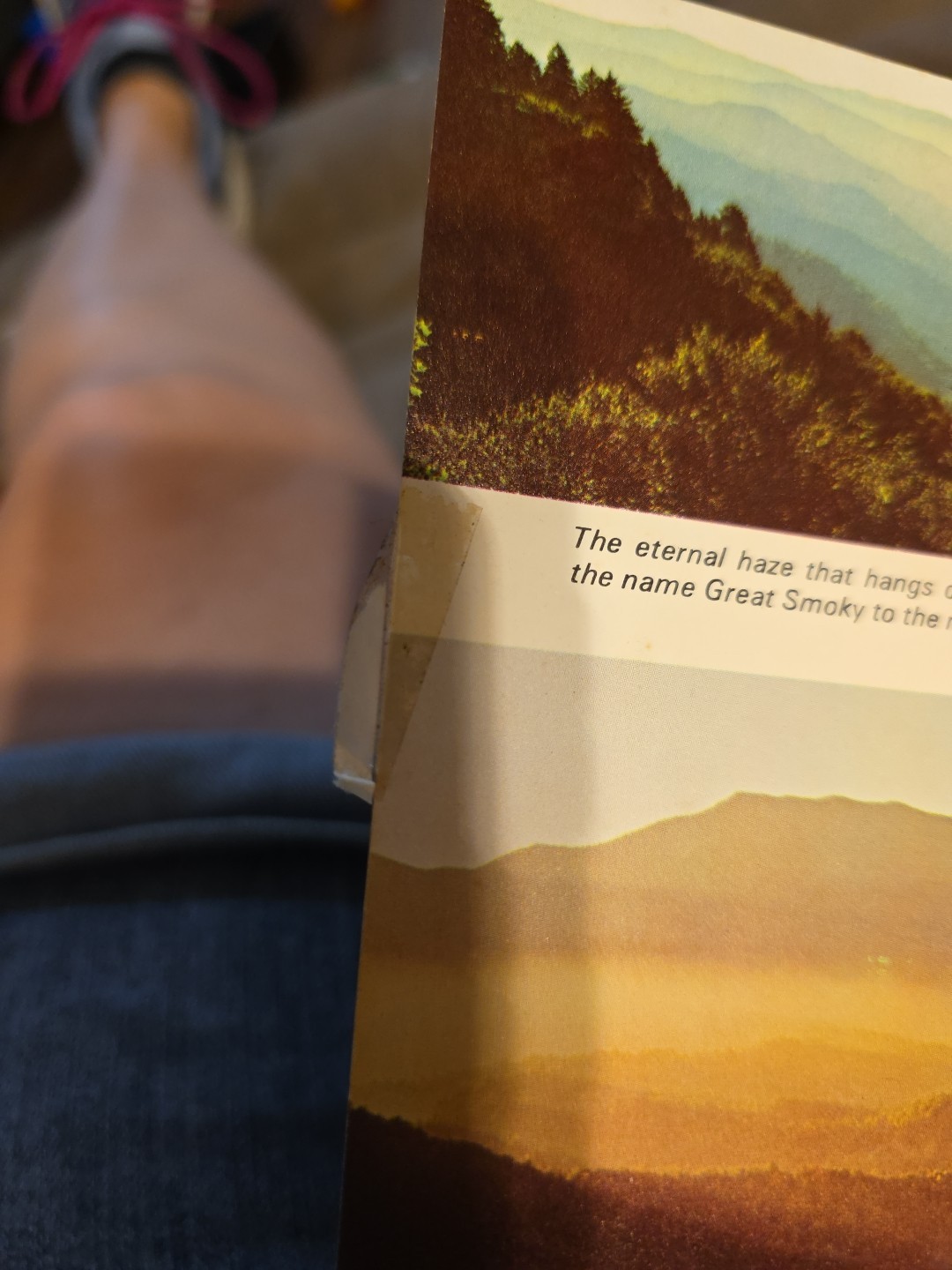 The Great Smoky Mountains National Park Vtg Travel Guide 1973 With Extra Poster