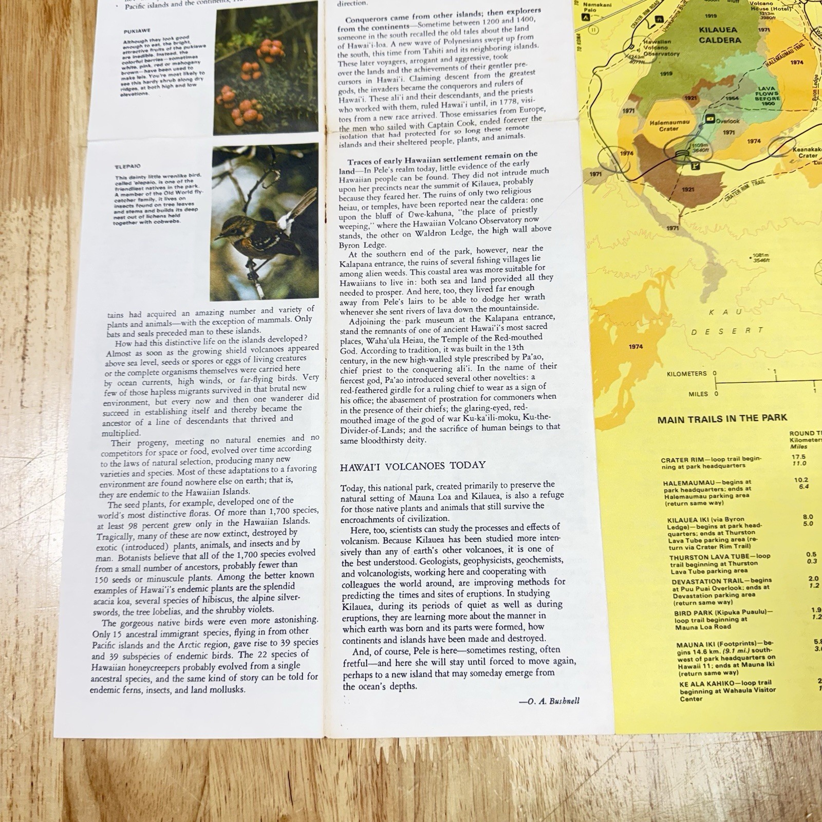 Hawaii Volcanoes National Park Vintage 1989 Brochure History & Visitor Map