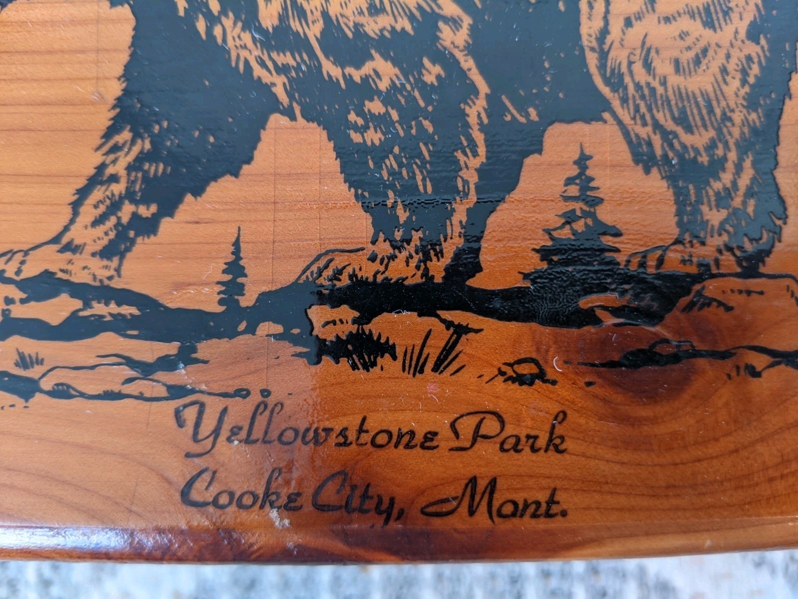 Vtg Bear Yellowstone Nat’l Park Cedar Chest Souvenir Trinket Box Cooke City MT