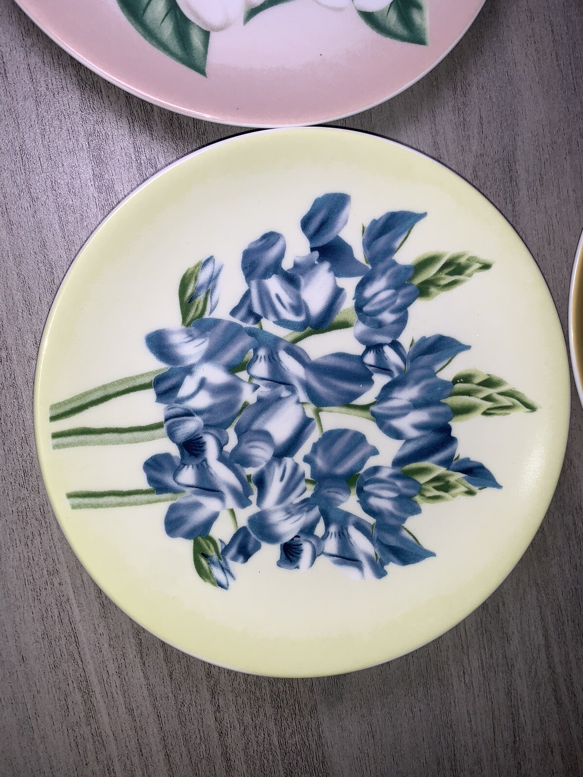 YOSEMITE FLORAL DESSERT PLATES: SET OF 4 YOSEMITE DNC PARKS AND RESORTS 6” NIB