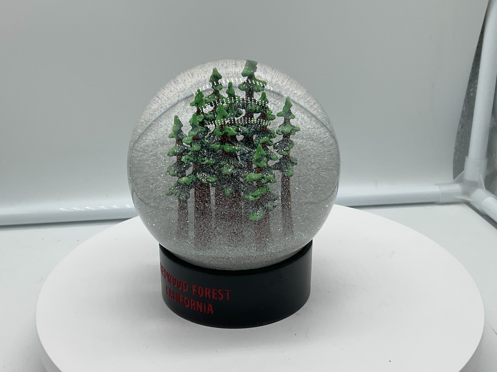 Redwood Forest California Fog Globe National Parks Conservancy Award Winner NIB