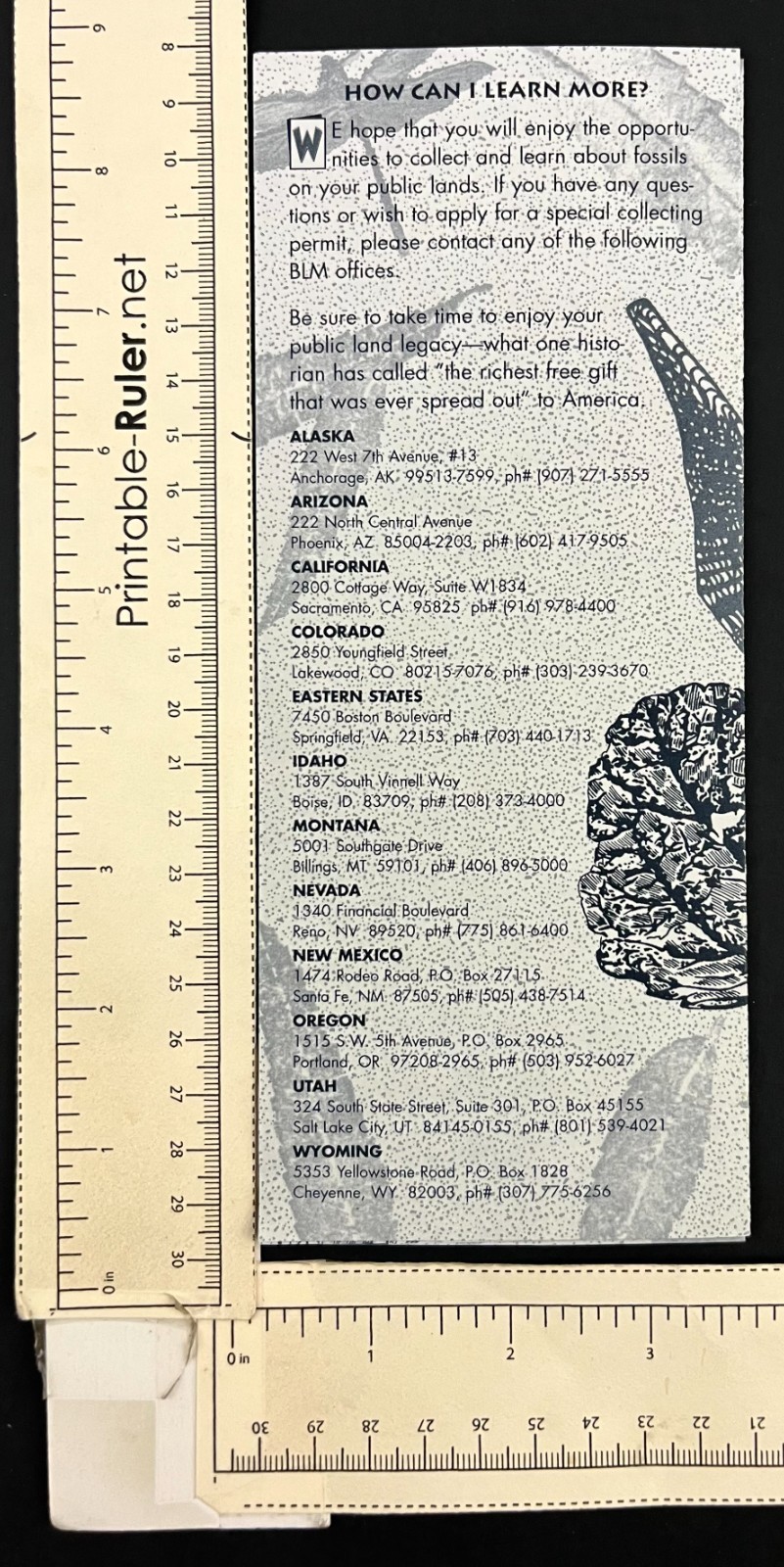 1990s Fossils On America’s Public Lands National Parks Vintage Travel Brochure