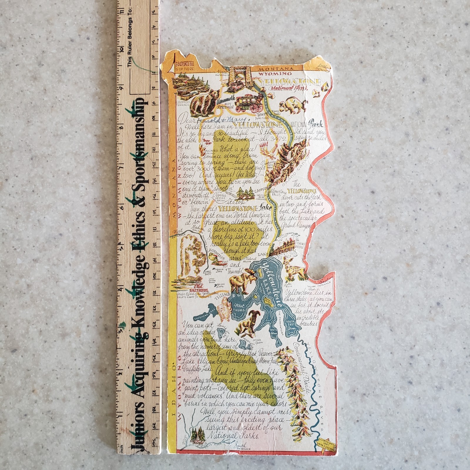 Vintage Yellowstone National Park Postcard Map DieCut 1948