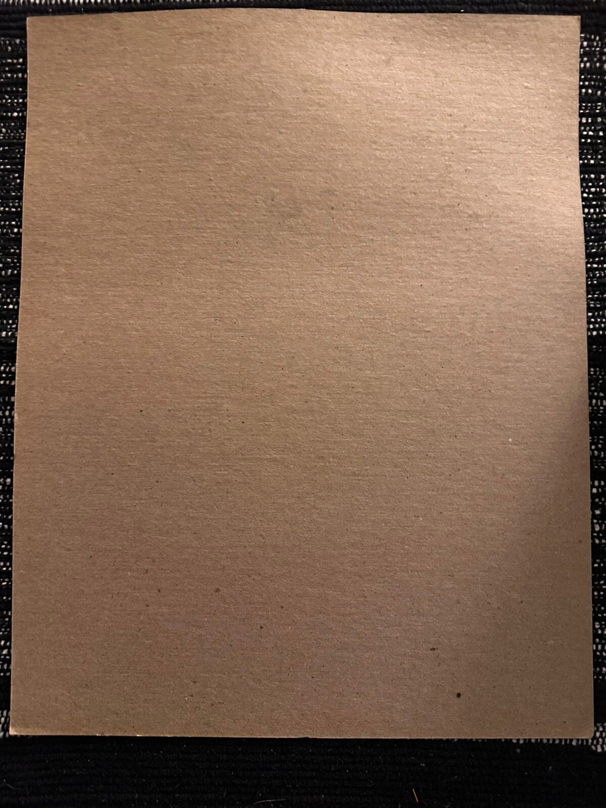 Vintage USFS Forest Service ”NO CAMPING (fillable Info)” Heavy Cardstock Sign