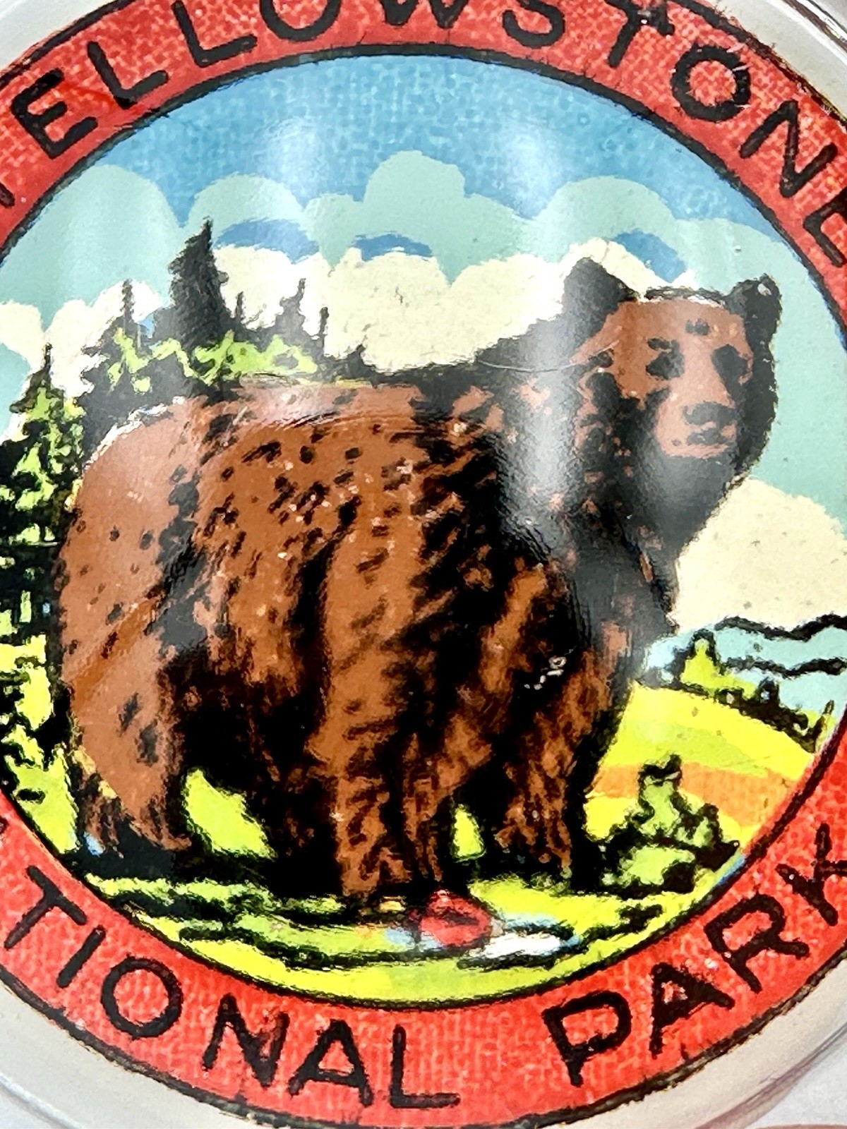 Vintage Yellowstone National Park Bear Souvenir Glass Paper Weight