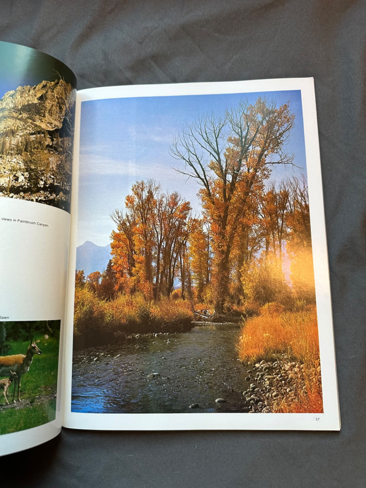 National Parkways Grand Teton National Park Guide Book 1976, Revised Volume II