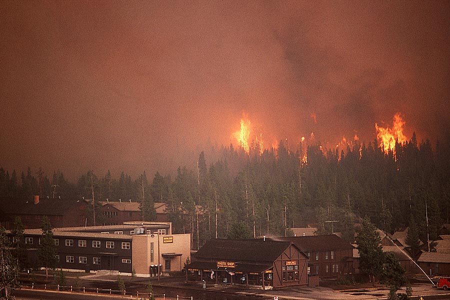 1988 YELLOWSTONE FIRE NEAR OLD FAITHFUL COMPLEX 8×12 GLOSSY PHOTO PRINT