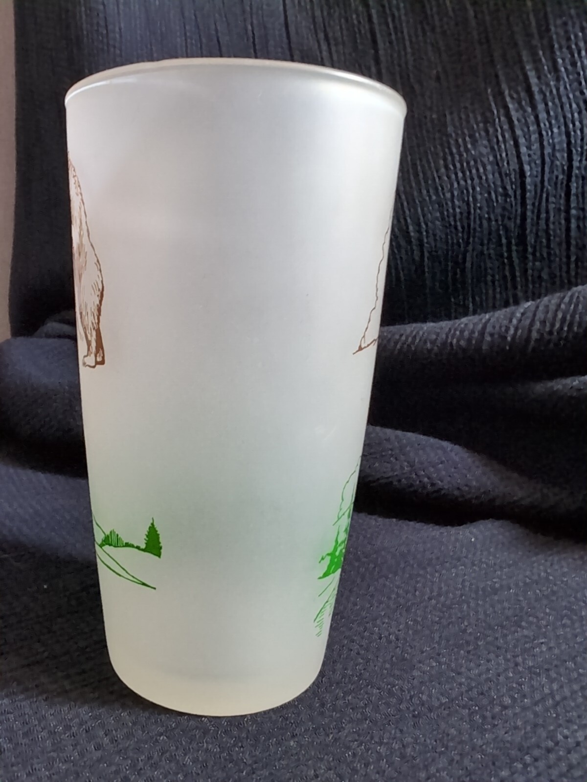 Vtg 1940 Anchor Hocking Yellowstone Park Drinking Satin Glass Tumbler Bears