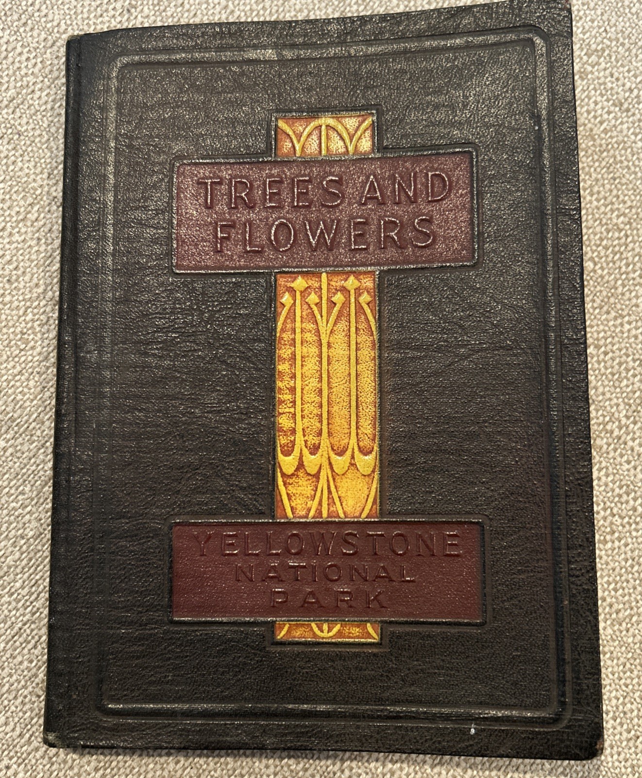 Antique Haynes Guide to Trees And Flowers: Yellowstone National Park 1923-Rare!