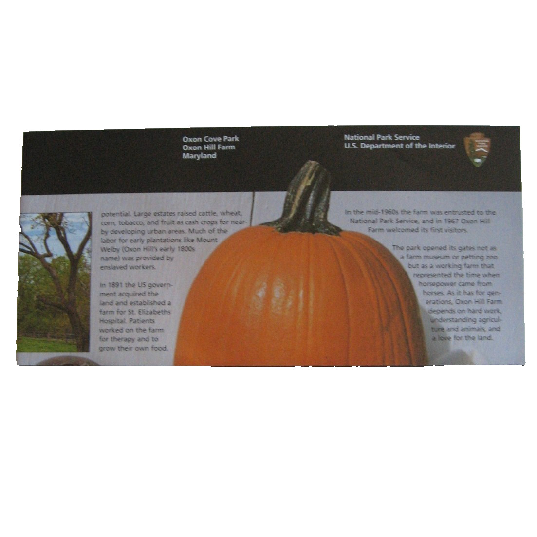 Oxon Hill Farm NPS National Park Service Brochure Oxon Cove Park Maryland