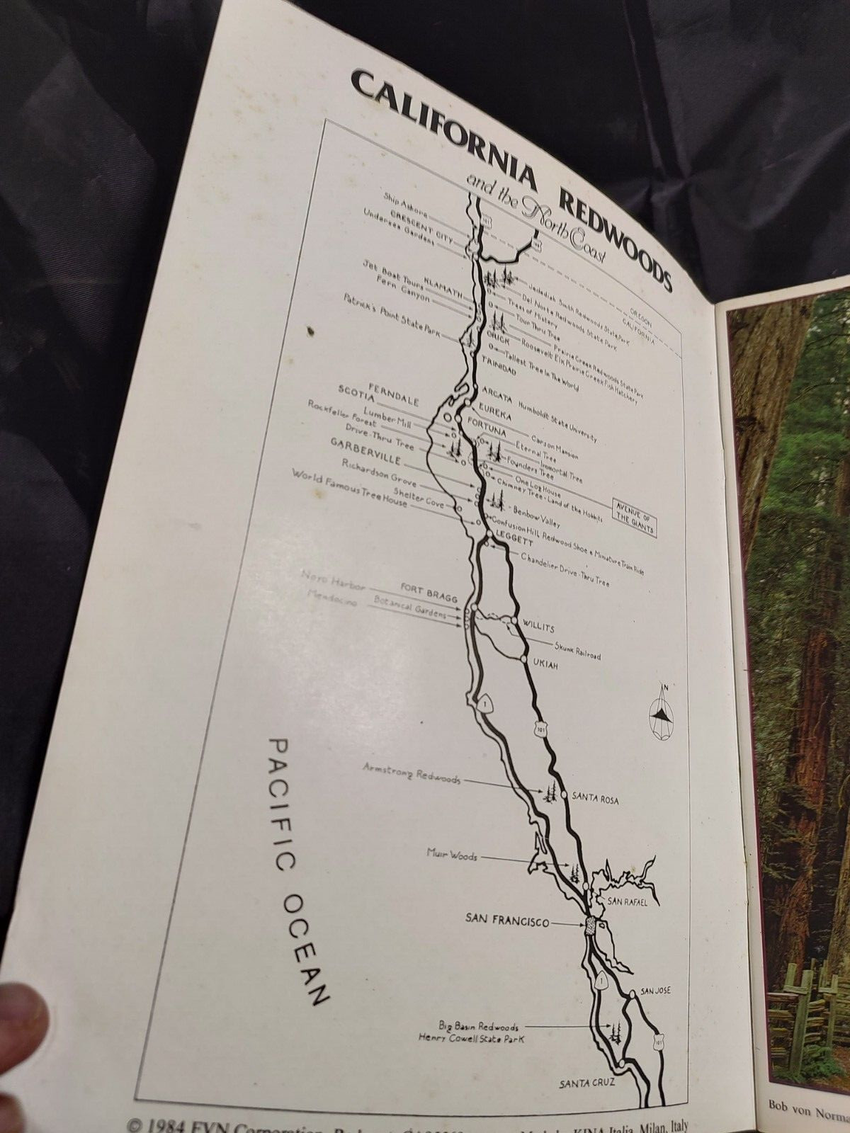 California Redwoods And The North Coast by Bob von Normann 1984 0915687003 PB