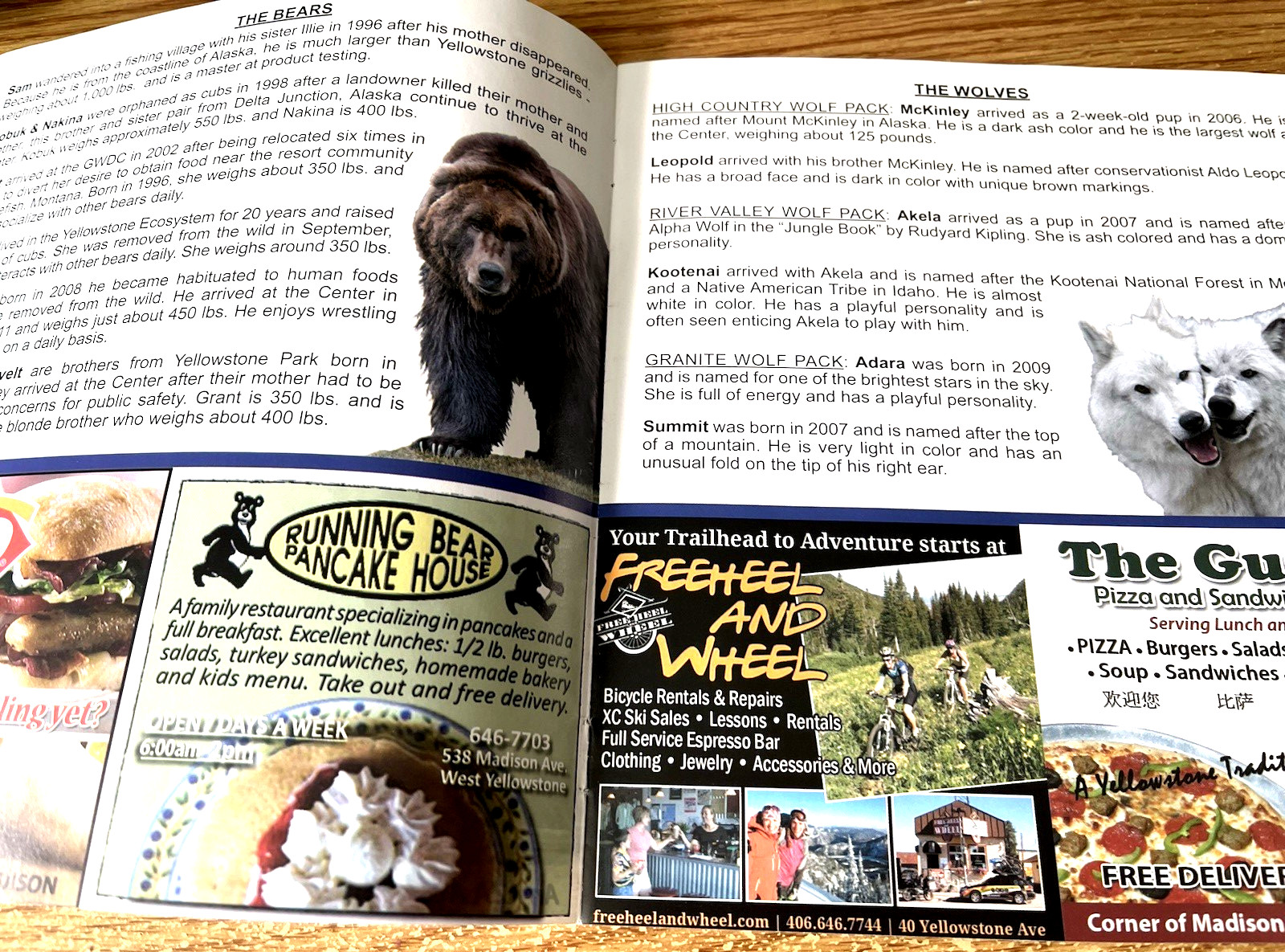Grizzly & Wolf Discovery Center Montana Souvenir Brochure Info Guide