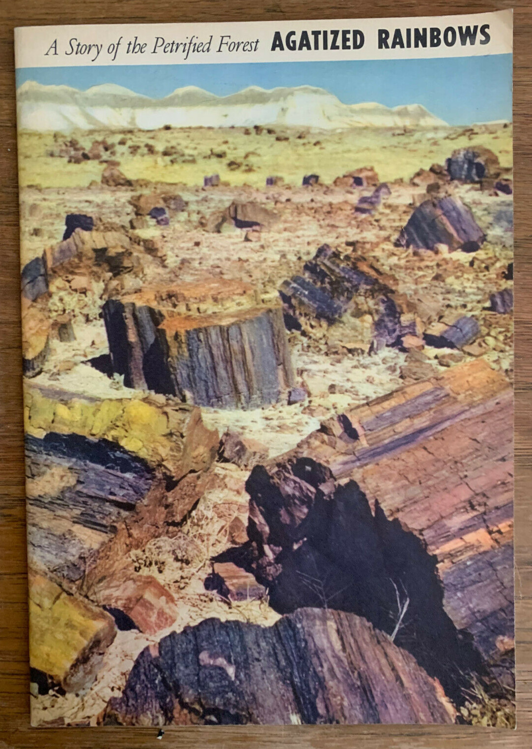 Agatized Rainbows, A Story Of The Petrified Forest NP, 1951 Popular Series No.3