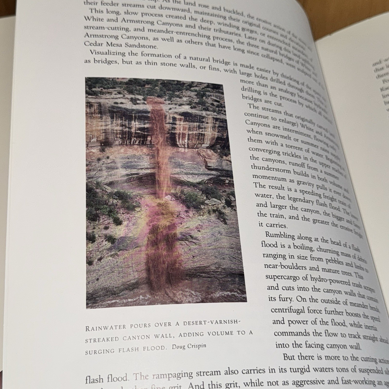 4 National Park Books – Mesa Verde, Arches, Petrified Forest, Natural Bridges