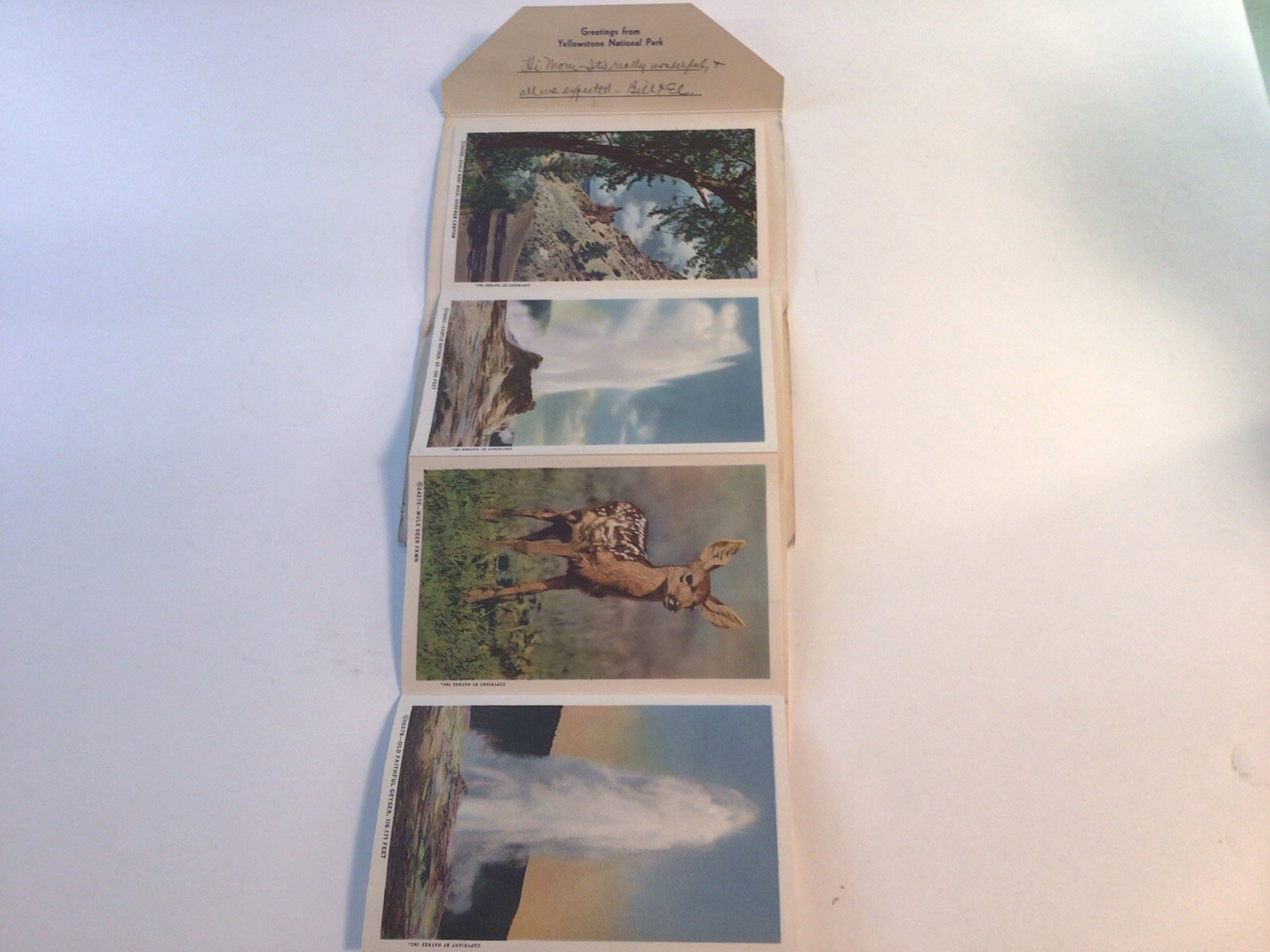 Souvenir Folder Of Postcards From Yellowstone National Park Series “C” 1946