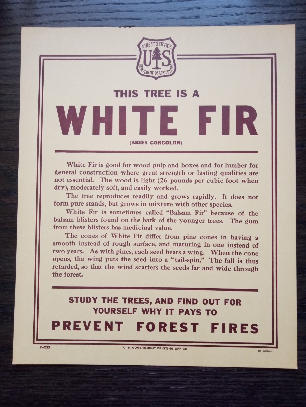 Vintage National Forest Service Paper Sign “White Fir” USFS tree description