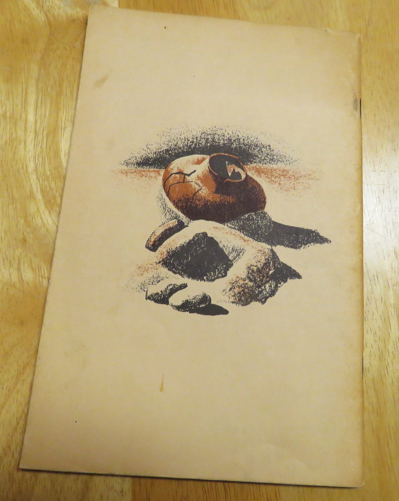 Montezuma Castle Arizona National Park Service Handbook Series No. 27 1961