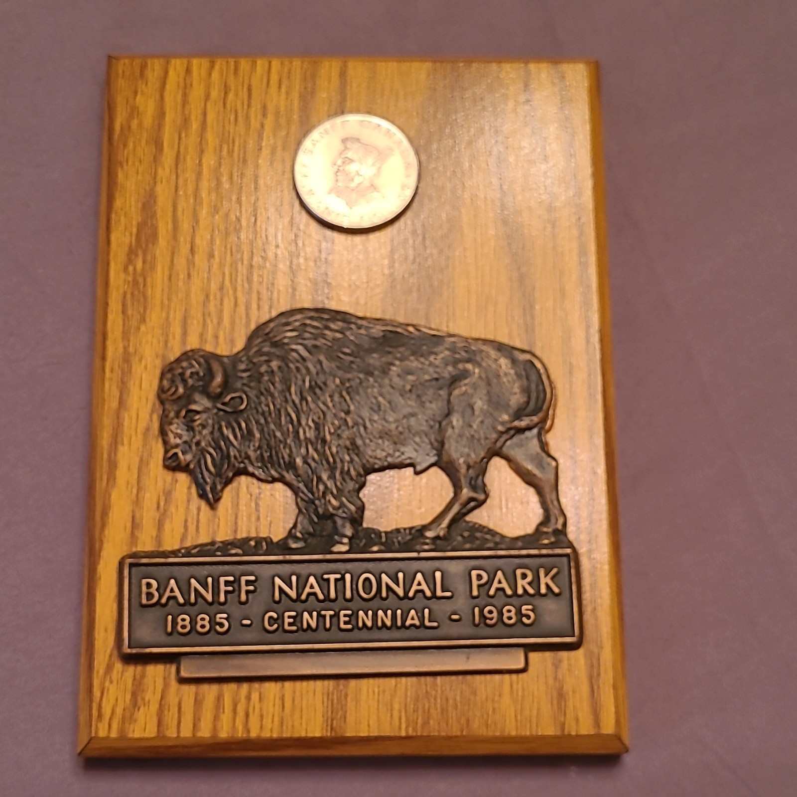Vintage 1985 Banff National Park Centennial Commemorative Buffalo Plaque & Trade