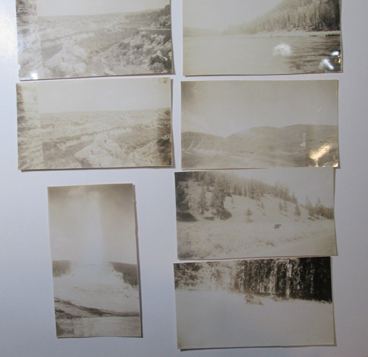 Vintage 1946 Original Wyoming Yellowstone Park Photos Lot Geysers Grizzly Bear