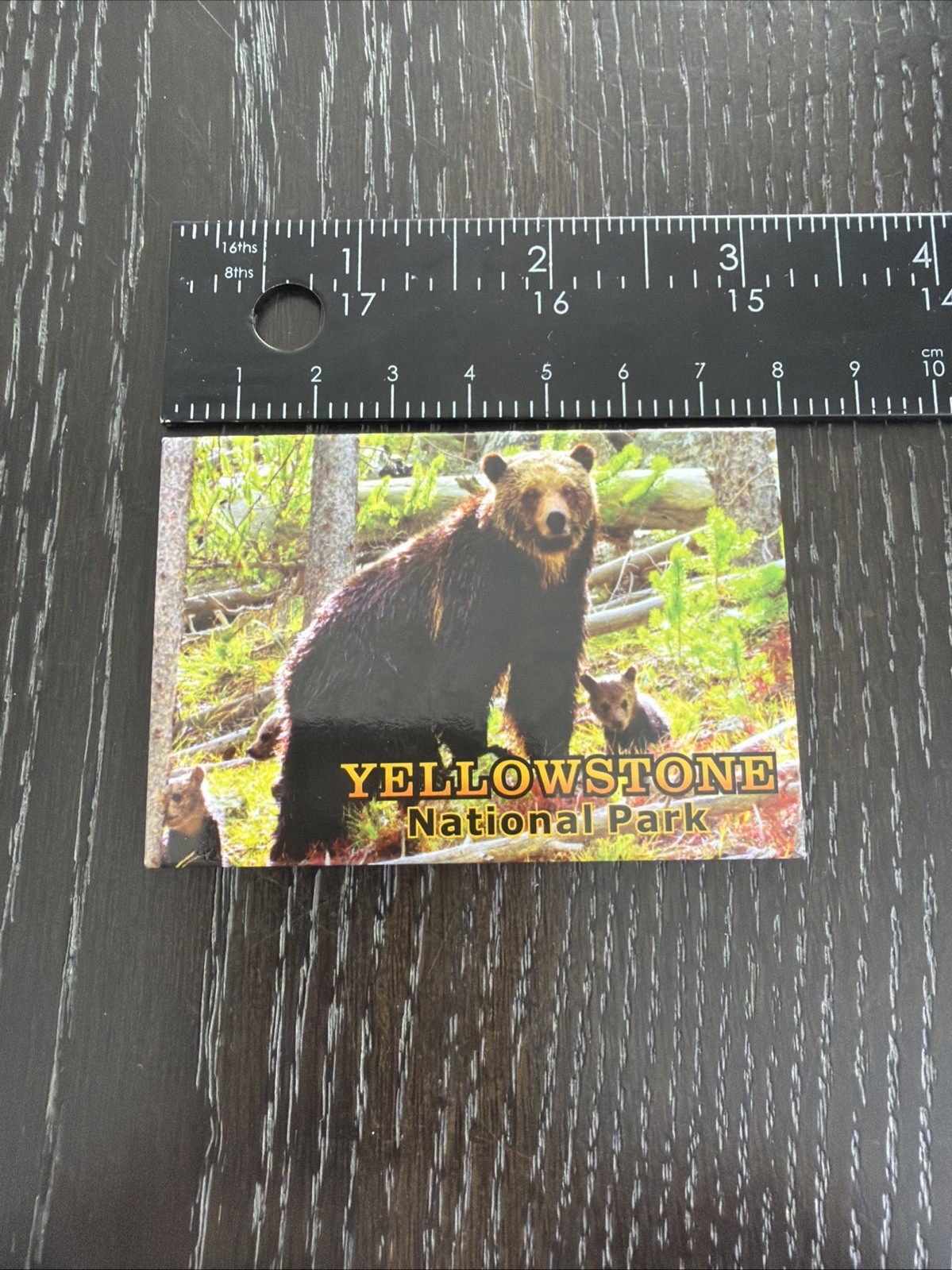 Yellowstone National Park Bear Magnet