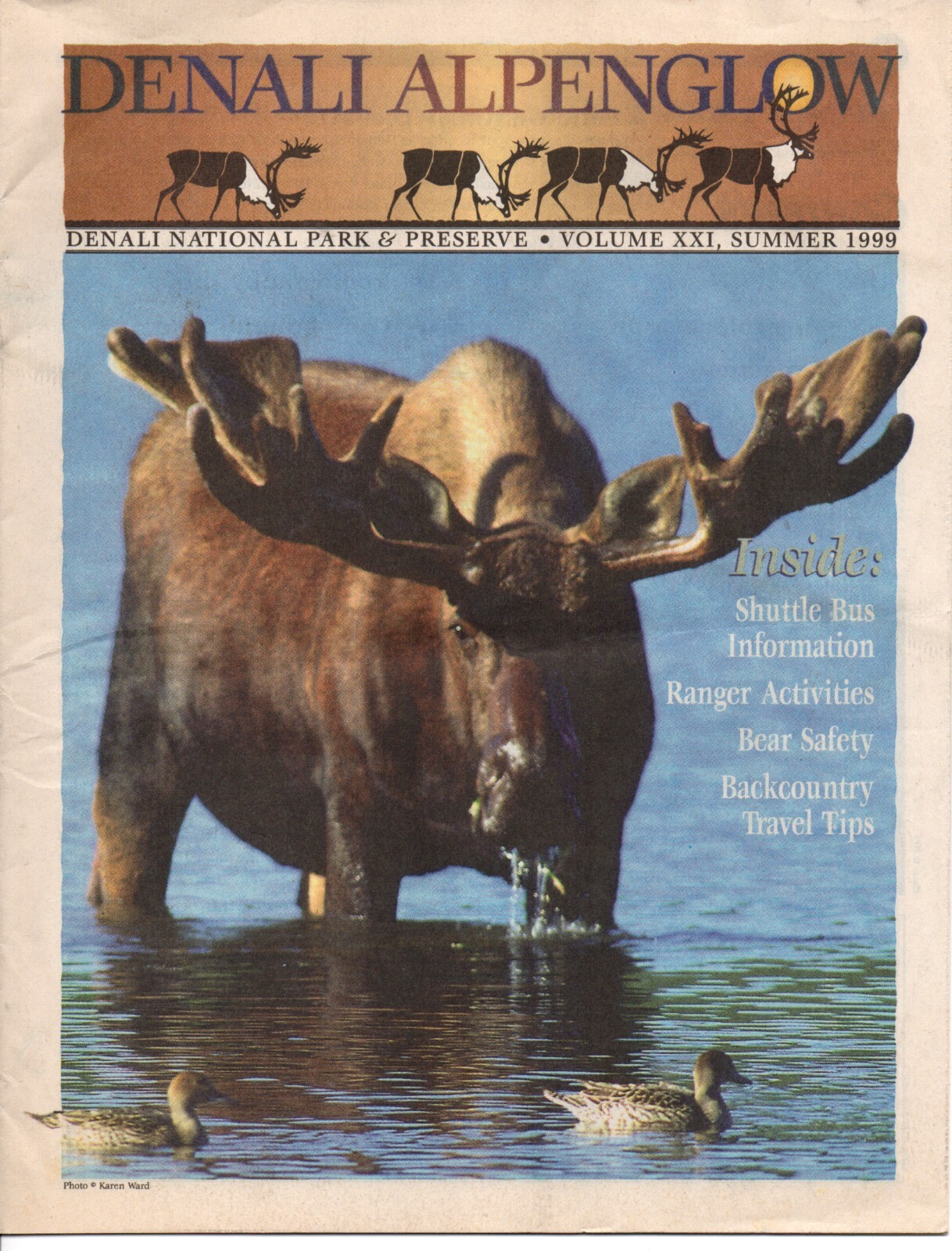 Lot of 2 Vintage 1999 Denali National Park Souvenir Newspapers/Visitor Guides 
