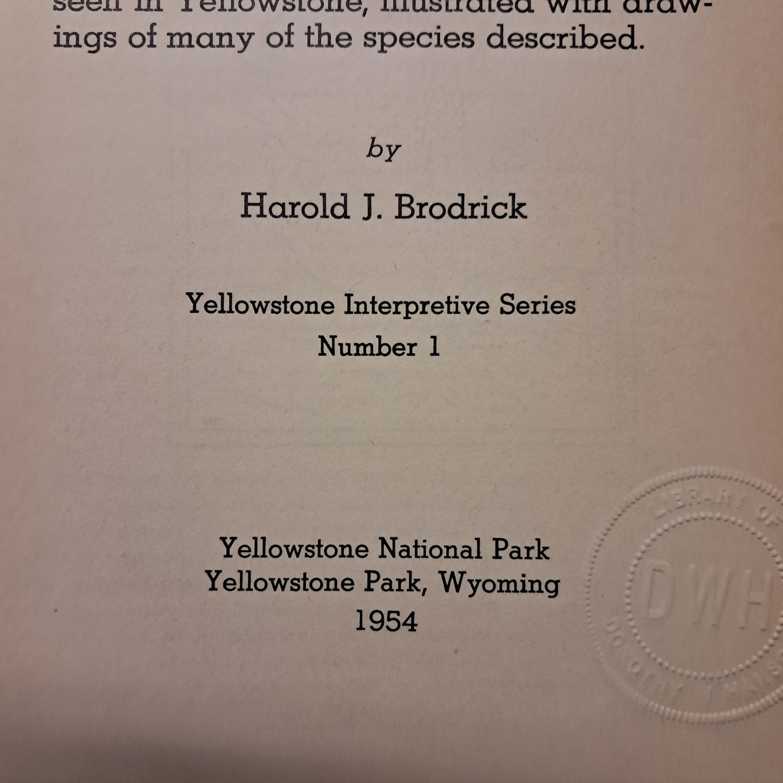 1954 Wild Animals Of Yellowstone National Park From Library Of Dorothy Hanson